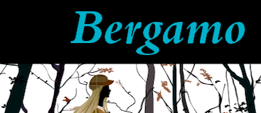 Bergamo Pro-Regular